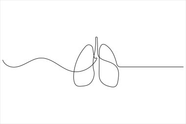 Akciğerlerin kesintisiz çizimi beyaz arka planda izole edilmiş tıbbi anatomik organ