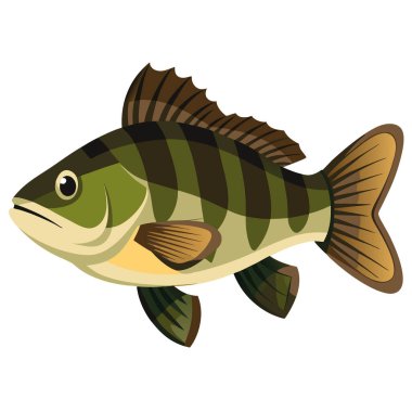 Smallmouth Bass Micropterus Dolomieu, yapay zekanın ürettiği temiz beyaz arka plan karşısında belirgin işaretlerini ve sağlıklı görünümünü vurgulayan dikkat çekici detaylarla sergilenir. Vektör simgesi