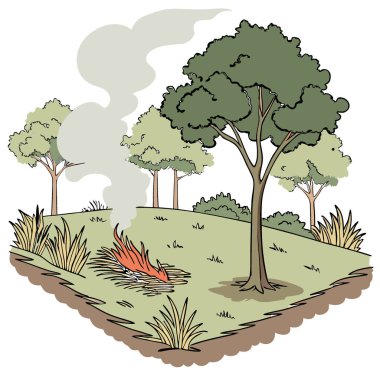 Ormanın belli bir bölgesinde, bitki örtüsünü yönetmek ve orman sağlığını geliştirmek için belirlenmiş bir yanık reçetesinin parçası olarak kontrollü bir yangın yanar. Yapay zeka üretildi. Vektör simgesi