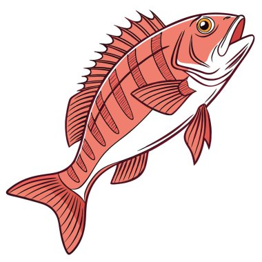 Yeni biri. Çizgili balık. Kırmızımsı bir tonu var. Yapay zekanın ürettiği beyaz bir arka planda izole edilmiş. Vektör simgesi