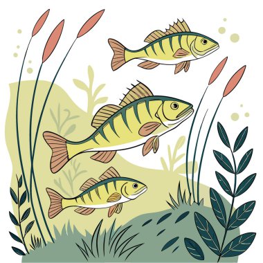Canlı sarı levrek balığı sürüsü, yapay zekanın oluşturduğu otların ve çökeltilerin arasında birlikte yüzer. Vektör simgesi