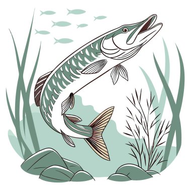 Sersemletici Pike Balık Resimleri Doğal Yaşam Alanlarında ve Sualtında Tatlı Su Yırtıcılarının Güzelliğini Yakalıyor. Yapay zeka üretildi. Vektör simgesi