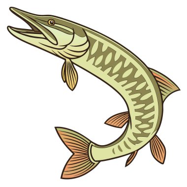 Yüksek çözünürlüklü görüntü, bir Muskellunge 'u, uzamış gövdesini ve yapay zekanın yarattığı eşsiz renklendirmeyi vurgulayan önemli bir tatlı su avcısını yakalar. Vektör simgesi