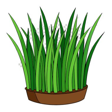 Çimen yetiştirme manzarasını kapat. Şeffaf arka planda yeşil çimen yapay zeka tarafından oluşturuldu. Vektör simgesi