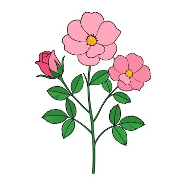 Rosa Majalis çayırları kapatır ilkbahar çiçeklerini açar vahşi gül fotoğrafçılığı. Yapay zeka üretildi. Vektör simgesi