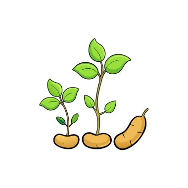 Soya fasulyesi filizlenmeye başlıyor ve pamuk yapraklarını sergiliyorlar. Yapay zeka üretildi. Vektör simgesi