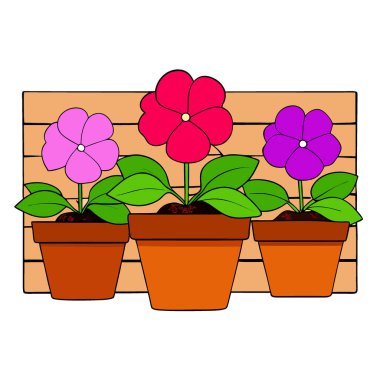 Kahverengi ahşap bir duvarın yanındaki konteynırlarda parlak pembe ve mor bağışıklıklar var. Yapay zeka üretildi. Vektör simgesi