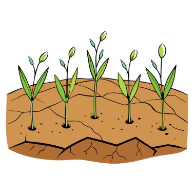 Haziran ayı başlarında Baltık bölgesinin tozlu topraklarında keten tohumu yetişir. Yapay zeka üretildi. Vektör simgesi