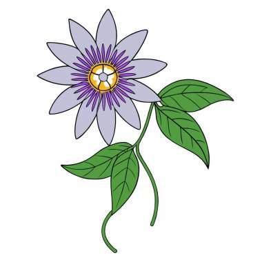 Egzotik, tutkulu, çiçek açan sarmaşık şeffaf bir arkaplan. Yapay zeka üretildi. Vektör simgesi