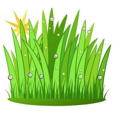 Taze yeşil çimenler, çiğ damlaları, güneşli çayırlar arka planda bahar doğa makro fotoğrafçılığı. Yapay zeka üretildi. Vektör simgesi