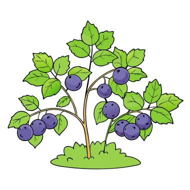 Haskap Berry Hasadı Olgun Kamçatka Böğürtlenleri Bahar Bahçesi 'ndeki Bush' tan toplanmaya hazır. Yapay zeka üretildi. Vektör simgesi