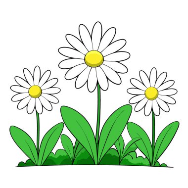 Yeşil yaprakların arasında büyüyen sarı merkezli beyaz papatya tarlası. Yapay zeka üretildi. Vektör simgesi