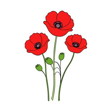 Beyaz arka planda saklanmış gelincik çiçekleri. Şeffaf arka planda gelincik çiçekleri yapay zeka üretiyor. Vektör simgesi