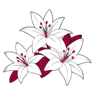 Pembe benekli kestane rengi beyaz zambaklar ve beyaz arka planda kestane rengi zambaklar. Yapay zeka üretildi. Vektör simgesi