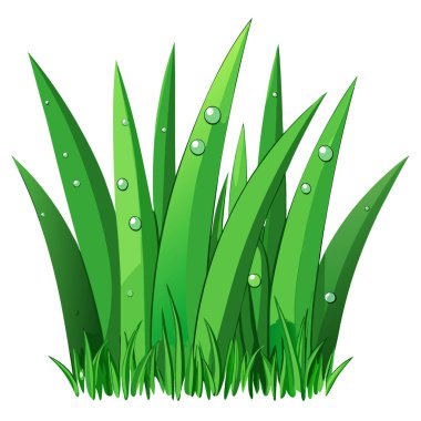 Taze çimen ve çiğ damlaları Güneş Yumuşak Odaklı Soyut Doğa Arkaplanı 'na yakın. Yapay zeka üretildi. Vektör simgesi