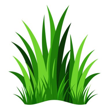 Beyaz arka planda yeşil çimenler izole edilmiş. Yaratıcı afiş. Telif uzayı resmi. Yapay zeka üretildi. Vektör simgesi