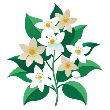 Sahte Portakal Çalı Çiçeği Beyaz Yasemin Çiçekleri Dekoratif Bitki Üzerinde Çiçek Açıyor. Yapay zeka üretildi. Vektör simgesi