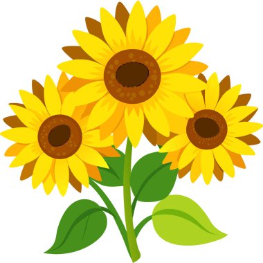 Canlı sarı renkte ve narin taç yapraklı ayçiçeği çiçekleri. Yapay zeka üretildi. Vektör simgesi