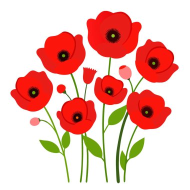 Beyaz arkaplandaki kırmızı gelincik çiçeklerinin en üst görüntüsü. Yapay zeka üretildi. Vektör simgesi