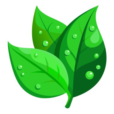 Canlı yeşil yaprakların üzerindeki çiğ tanelerini kapatın. Bir haziran sabahının tazeliğini yakalıyorum. Yapay zeka üretildi. Vektör simgesi