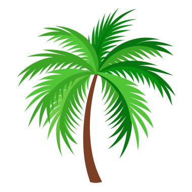 Beyaz dosya üzerinde yaz için tropik hindistan cevizi palmiyesi yaprakları şeffaf. Yapay zeka üretildi. Vektör simgesi