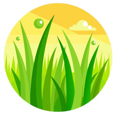 Taze yeşil çimenler, çiğ damlaları, güneşli çayırlar arka planda bahar doğa makro fotoğrafçılığı. Yapay zeka üretildi. Vektör simgesi