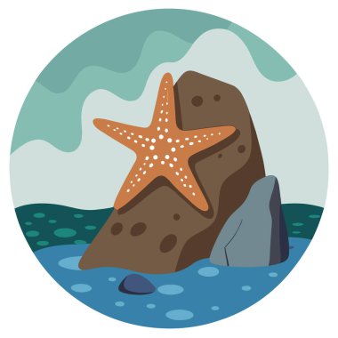 Alçak gelgit, Juneau plaj kayasına yapışan benekli deniz yıldızını ortaya çıkarır. Yapay zeka üretildi. Vektör simgesi