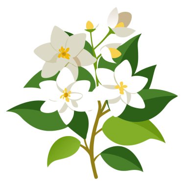 Sahte Portakal Çalı Çiçeği. Jasmine 'in güzel beyaz çiçekleri Dekoratif Çalı' da çiçek açıyor. Yapay zeka üretildi. Vektör simgesi