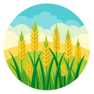 Haziranda Berrak Gökyüzünün Altındaki Yeşil Buğday Tarlası Tahıl Kulakları Hasata Hazırlanıyor. Yapay zeka üretildi. Vektör simgesi