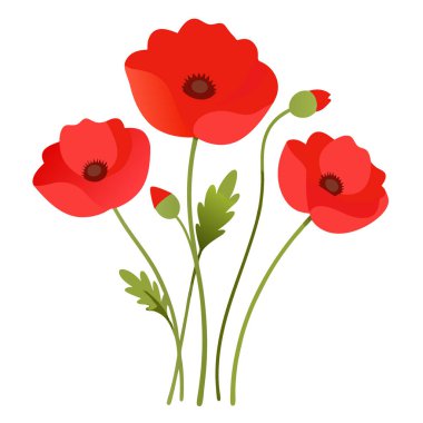 Beyaz arka planda saklanmış gelincik çiçekleri. Şeffaf arka planda gelincik çiçekleri yapay zeka üretiyor. Vektör simgesi