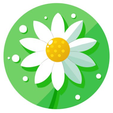 Yapay zekanın ürettiği yeşil arka planda beyaz yaprakların üzerine yağmur damlaları damlatarak papatya çiçeğini kapat. Vektör simgesi