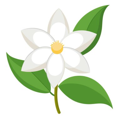 Yasemin beyaz çiçeği beyaz arka planda izole edilmiş. Yapay zeka üretildi. Vektör simgesi