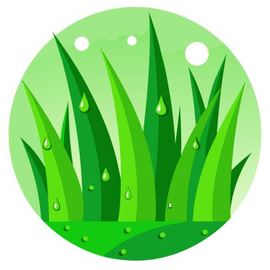 Yağmurdan sonra su damlaları ve bulanık yeşil arka plan yapay zekası olan parlak yeşil çimenler. Yapay zeka üretildi. Vektör simgesi