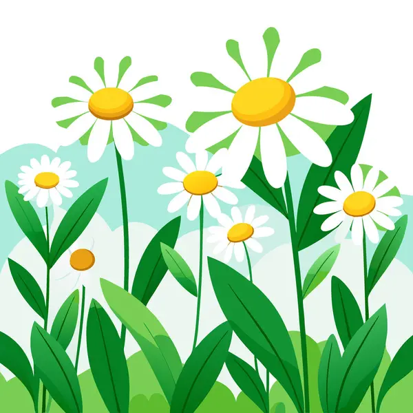 Yeşil yaprakların arasında büyüyen sarı merkezli beyaz papatya tarlası. Yapay zeka üretildi. Vektör simgesi