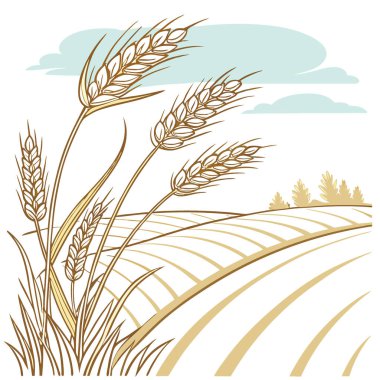 Altın buğday, açık mavi gökyüzüne doğru hafif hafif esintide sallanır. Yapay zeka üretildi. Vektör simgesi