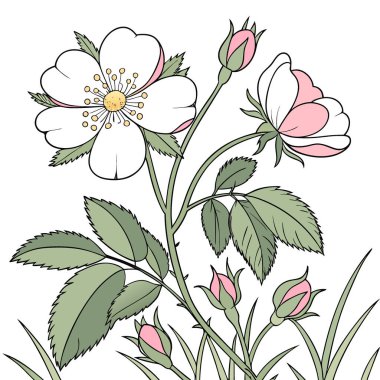 Rosa Majalis çayırları kapatır ilkbahar çiçeklerini açar vahşi gül fotoğrafçılığı. Yapay zeka üretildi. Vektör simgesi