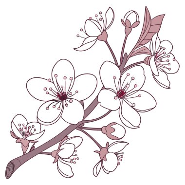 Beyaz Çiçeklerin Temiz Beyaz Arkaplanda Zarif Çiçek Düzenlemesi. Yapay zeka üretildi. Vektör simgesi