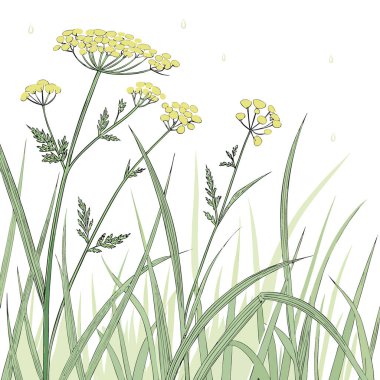 Yağmur sonrası çimenler, arka planda bulanıklaşmıştı. Yapay zeka üretildi. Vektör simgesi