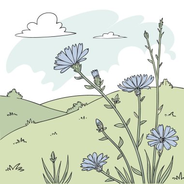 Hindiba salyangozunun mavi çiçekleri. Yaygın hindiba cichorium intybus yaz manzarası. Yapay zeka üretildi. Vektör simgesi