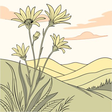 Altın Saat Çiçekleri sarı kır çiçekleri, yapay zekanın ürettiği yumuşak rüya gibi güneş ışığında parıldıyor. Vektör simgesi