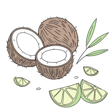 Taze hindistan cevizli yaz havası limon dilimlerini beyaz yüzeye çıkarır. Yapay zeka üretildi. Vektör simgesi