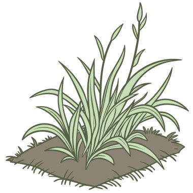 Beyaz ya da şeffaf arka planda kesilmiş taze yeşil çimen parçası. Yapay zeka üretildi. Vektör simgesi