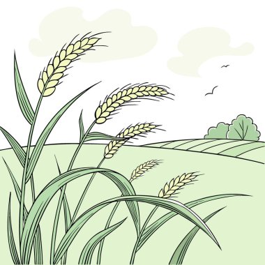 Haziranda Berrak Gökyüzünün Altındaki Yeşil Buğday Tarlası Tahıl Kulakları Hasata Hazırlanıyor. Yapay zeka üretildi. Vektör simgesi