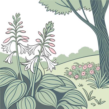 Hosteslerin çiçek açtığı bir yaz bahçesi. Yeşil yapraklar. Ve doğal çevrede çiçeklerle süslenmiş bir güzellik. Yapay zeka üretildi. Vektör simgesi