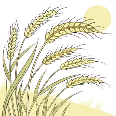 Altın kulaklı bir buğday tarlasının manzarası yaz güneşinde hasat için hazır. Yapay zeka üretildi. Vektör simgesi