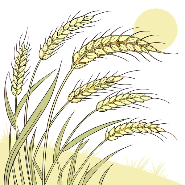 Altın kulaklı bir buğday tarlasının manzarası yaz güneşinde hasat için hazır. Yapay zeka üretildi. Vektör simgesi