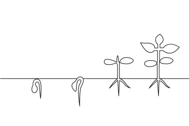 Bitki büyüme safhalarının sürekli çizimi ve tarımsal logoların profosyonel vektör formatında çizimi