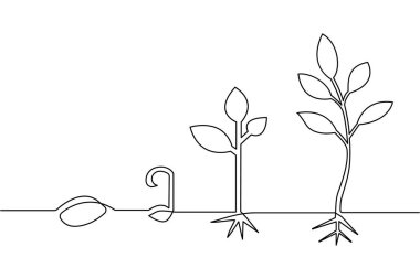 Bitki büyüme safhalarının sürekli çizimi ve tarımsal logoların profosyonel vektör formatında çizimi