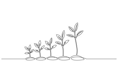 Bitki büyüme safhalarının sürekli çizimi ve tarımsal logoların profosyonel vektör formatında çizimi