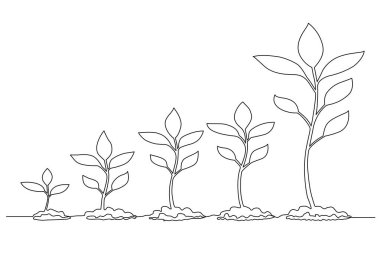 Bitki büyüme safhalarının sürekli çizimi ve tarımsal logoların profosyonel vektör formatında çizimi